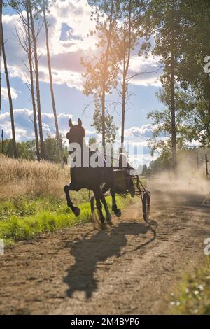 Lady forme un cheval assis dans un soyeux sur une piste. Photo de haute qualité Banque D'Images