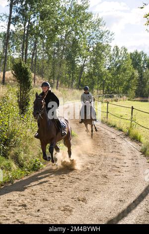 Lady forme un cheval assis dans un soyeux sur une piste. Photo de haute qualité Banque D'Images