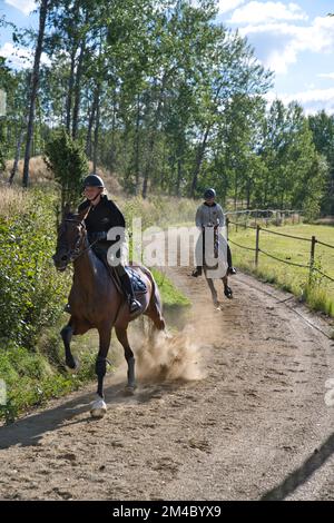 Lady forme un cheval assis dans un soyeux sur une piste. Photo de haute qualité Banque D'Images