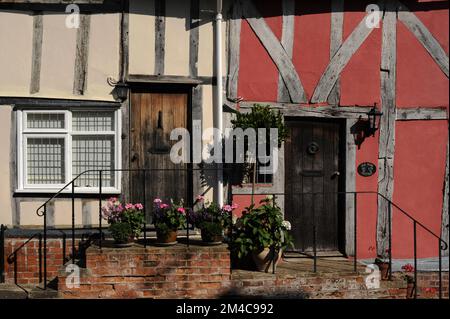 Crème et rose fraise … Le plâtre en limewashed infill autour de simples portes en chêne à deux cottages à colombages construits, probablement comme une propriété, en 1400s ou 1500s, quand Lavenham à Suffolk, Angleterre, Royaume-Uni, était une ville prospère de laine et de tissu. Grosvenor Cottage et Old Rose Cottage sont situés sur des plinthes de briques dans la rue Prentice en pente. Banque D'Images