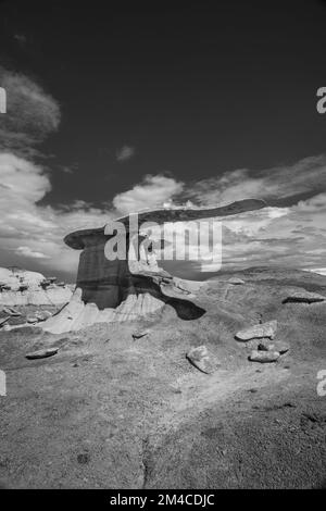 Photographie du roi des ailes, une formation bizarre de roche et d'argile érodée, près de Nageezi, Nouveau-Mexique, États-Unis. Banque D'Images