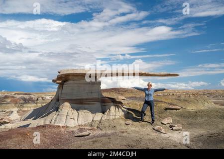 Photographie du roi des ailes, une formation bizarre de roche et d'argile érodée, près de Nageezi, Nouveau-Mexique, États-Unis. Banque D'Images