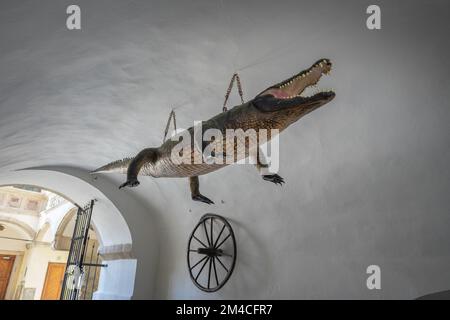 Brno Dragon et Brno Wheel à la vieille mairie - Brno, République tchèque Banque D'Images