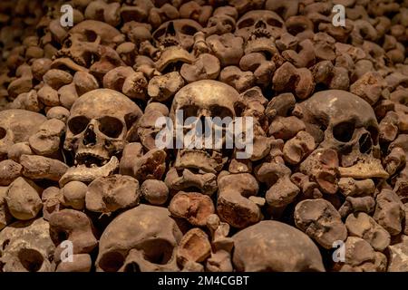 Crânes humains de Brno Ossuary sous St. Eglise James - Brno, République Tchèque Banque D'Images