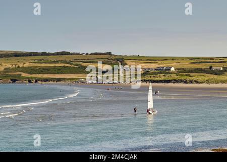 Newport, Pembrokeshire, pays de Galles - août 2022 : vue panoramique sur la plage à marée basse Banque D'Images