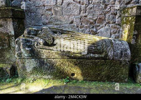 Les belles ruines extérieures de l'ancien couvent de San Domingos dans la ville de Pontevedra, Galice en Espagne Banque D'Images