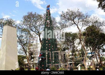 Les ouvriers ont mis la touche finale à un grand arbre de Noël synthétique installé dans un jardin de loisirs de la ville de Nakuru avant la saison des fêtes de Noël. Cette année, Noël arrive à un moment où la plupart des régions du pays ont traversé de longs mois de temps sec et de coût élevé de la vie. Banque D'Images