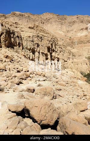 Dans les montagnes de la Réserve Naturelle d'Ein Gedi, sur les rives de la mer Morte en Israël. Banque D'Images