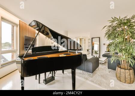 une salle de séjour avec un piano à queue au centre et un grand pot de plantes sur le côté droit Banque D'Images