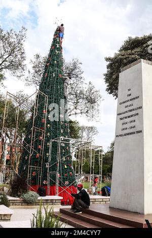 Nakuru, Kenya. 20th décembre 2022. Les ouvriers ont mis la touche finale à un grand arbre de Noël synthétique installé dans un jardin de loisirs de la ville de Nakuru avant la saison des fêtes de Noël. Cette année, Noël arrive à un moment où la plupart des régions du pays ont traversé de longs mois de temps sec et de coût élevé de la vie. (Image de crédit : © James Wakibia/SOPA Images via ZUMA Press Wire) Banque D'Images