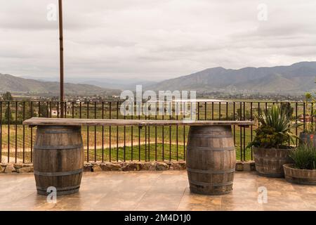 Détails de la région viticole Valle de Guadalupe au Mexique Banque D'Images