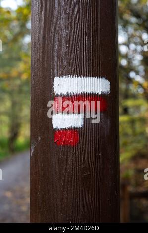 Jette, région de Bruxelles-capitale, Belgique, 11 21 2022 - panneau rouge et blanc, marquant le GR, sentiers de randonnée longue distance Banque D'Images