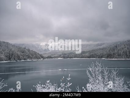 Paysage hivernal enneigé au parc régional de la rivière Capilano qui donne sur le barrage Cleveland à North Vancouver, Colombie-Britannique, Canada Banque D'Images