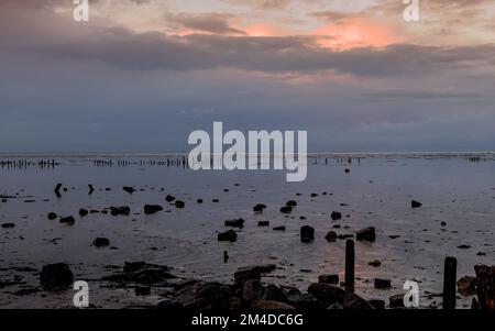 Rochers et brise-mers au large de la côte frisonne, pays-Bas Banque D'Images