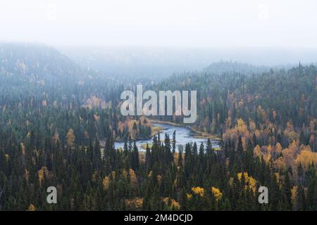 Vue sur la rivière Kitka (Kitkajoki) et la forêt colorée pendant une journée d'automne brumeuse dans le parc national d'Oulanka, dans le nord de la Finlande Banque D'Images