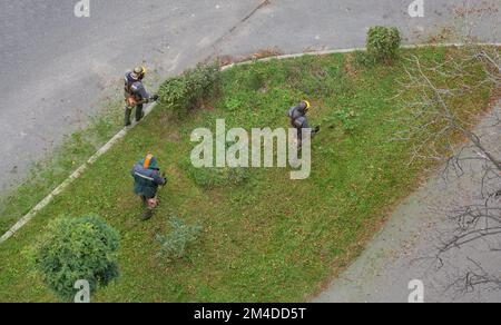 les ouvriers tondez l'herbe avec une débroussailleuse à essence dans la ville, vue de dessus Banque D'Images