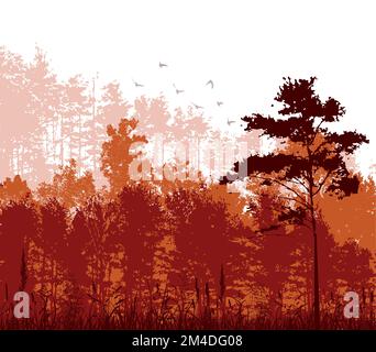 Paysage d'automne avec orangers. Illustration vectorielle Illustration de Vecteur