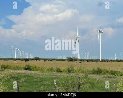 Parque Eolico, éolienne ou aérogénérateurs pour l'énergie à la Ventosa Oaxaca Mexique (photo du Nord photo) Parque Eolico, turbina eólica o aerogeneradores de energia en la Ventosa Oaxaca Mexique (Foto por Norte photo) Banque D'Images