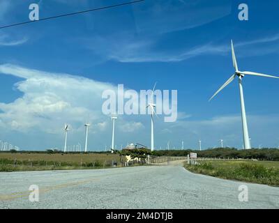 Parque Eolico, éolienne ou aérogénérateurs pour l'énergie à la Ventosa Oaxaca Mexique (photo du Nord photo) Parque Eolico, turbina eólica o aerogeneradores de energia en la Ventosa Oaxaca Mexique (Foto por Norte photo) Banque D'Images