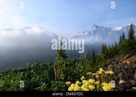 Moraine Creek Valley Banque D'Images