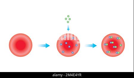 Conception scientifique de la formation d'hémoglobine glycosylée. Symboles colorés. Illustration vectorielle. Illustration de Vecteur