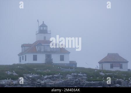 Phare de Egg Rock dans le brouillard. Banque D'Images
