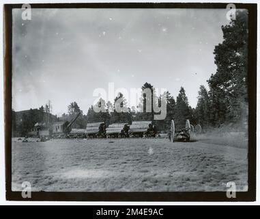 Transport de grumes : chemin de fer de l'exploitation forestière. Photographies relatives aux forêts nationales, aux pratiques de gestion des ressources, au personnel et à l'histoire culturelle et économique Banque D'Images