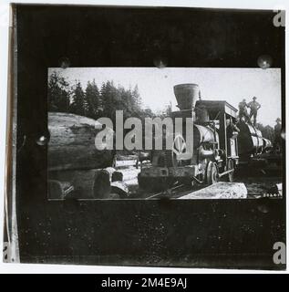 Transport de grumes : chemin de fer de l'exploitation forestière. Photographies relatives aux forêts nationales, aux pratiques de gestion des ressources, au personnel et à l'histoire culturelle et économique Banque D'Images