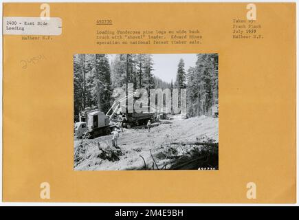 Transport de grumes : chemin de fer de l'exploitation forestière. Photographies relatives aux forêts nationales, aux pratiques de gestion des ressources, au personnel et à l'histoire culturelle et économique Banque D'Images