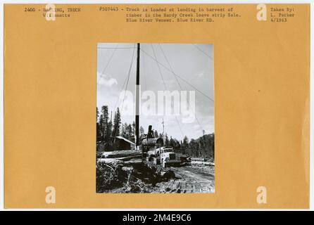 Transport de grumes : chemin de fer de l'exploitation forestière. Photographies relatives aux forêts nationales, aux pratiques de gestion des ressources, au personnel et à l'histoire culturelle et économique Banque D'Images