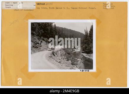 Transport de grumes : chemin de fer de l'exploitation forestière. Photographies relatives aux forêts nationales, aux pratiques de gestion des ressources, au personnel et à l'histoire culturelle et économique Banque D'Images