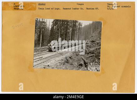 Transport de grumes : chemin de fer de l'exploitation forestière. Photographies relatives aux forêts nationales, aux pratiques de gestion des ressources, au personnel et à l'histoire culturelle et économique Banque D'Images