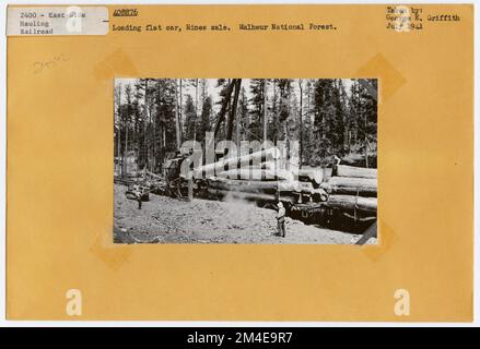 Transport de grumes : chemin de fer de l'exploitation forestière. Photographies relatives aux forêts nationales, aux pratiques de gestion des ressources, au personnel et à l'histoire culturelle et économique Banque D'Images