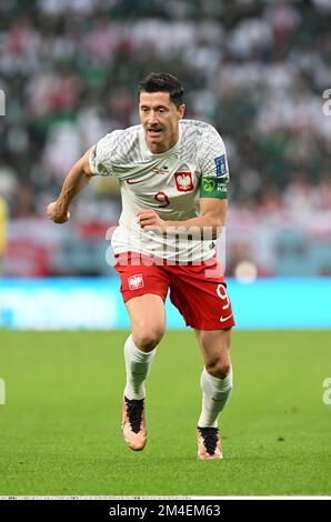 Doha, Qatar. 26th novembre 2022. Robert Lewandowski de Pologne pendant la coupe du monde de la FIFA Qatar 2022 Groupe C Match Pologne 2-0 Arabie Saoudite au stade de la ville d'éducation à Al Rayyan, 7km nord-ouest de Doha, Qatar, 26 novembre 2022. Credit: Takamoto Tokuhara/AFLO/Alamy Live News Banque D'Images