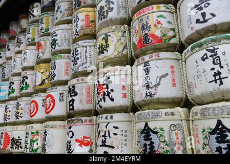 Fûts de saké colorés à l'entrée de la route de gravier du sanctuaire Meiji Jingu à Tokyo, Japon. Banque D'Images