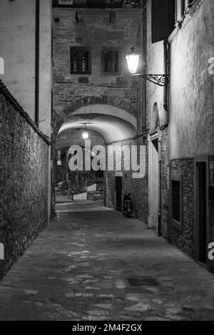 Photo verticale en niveaux de gris d'une ruelle étroite avec des bâtiments traditionnels en pierre à Bergame, en Italie Banque D'Images