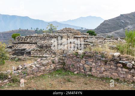 Ce site archéologique de némogramme a été découvert en 1966 dans le Swat et fouillé en 1967-68 Banque D'Images