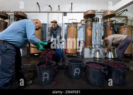 Ouvriers préparant le Marc de raisin pour faire le brandy traditionnel portugais Aguardente dans les alambics d'une ancienne distillerie de mode à Oleiros, Portugal Banque D'Images