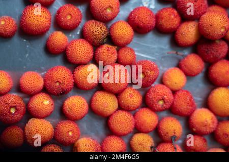 Baie d'Arbutus sur arbre de fraise Banque D'Images