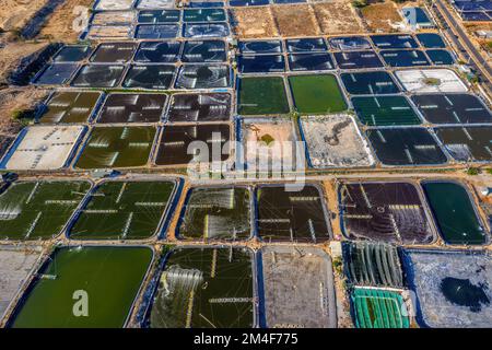 Vue aérienne de la ferme de crevettes avec pompe d'aérateur en face de Ninh Phuoc, Ninh Thuan, Vietnam. Le secteur de l'aquaculture en pleine croissance menace continuellement Banque D'Images