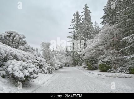 Sentier couvert de neige menant au barrage de Cleveland au parc régional de la rivière Capilano à North Vancouver, Colombie-Britannique, Canada Banque D'Images