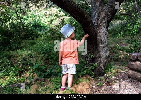 Petite fille seule dans la nature. Prise de vue depuis l'arrière sans visage Banque D'Images