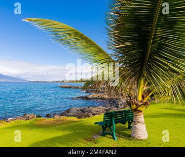 Vagues se lavant au-dessus de Lava Boulders sur Keawakapu Beach, Maui, Hawaii, États-Unis Banque D'Images