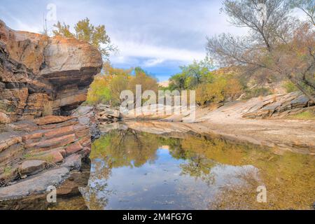 Sabino creek au parc national de Sabino Canyon à Tucson, Arizona. Ruisseau tranquille avec rive rocheuse avec arbres et ciel nuageux à l'arrière-plan. Banque D'Images