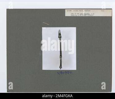 Identification de l'arbre - cadre ancien. Photographies relatives aux forêts nationales, aux pratiques de gestion des ressources, au personnel et à l'histoire culturelle et économique Banque D'Images