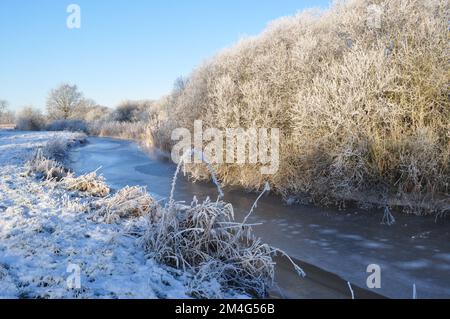 Wincken Fen dans la Cambridgeshire Fens, Angleterre Royaume-Uni Banque D'Images