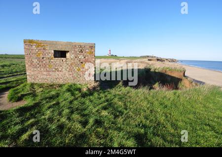 Érosion côtière à Happisburgh, nord-est de Norfolk, Angleterre, Royaume-Uni Banque D'Images