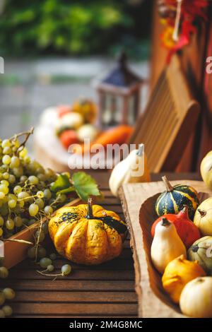 Récolte d'automne. Raisin, citrouilles décoratives, gourde et courge sur table en bois. Fruits et légumes récoltés en automne Banque D'Images