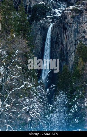 Une photo au téléobjectif du yosemite tombe un après-midi d'hiver avec des arbres enneigés au premier plan. Banque D'Images