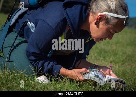 Cueillette de champignons essayant d'identifier les champignons sauvages dans la forêt avec un livre d'identification - cueillette de champignons et cueillette de champignons Banque D'Images